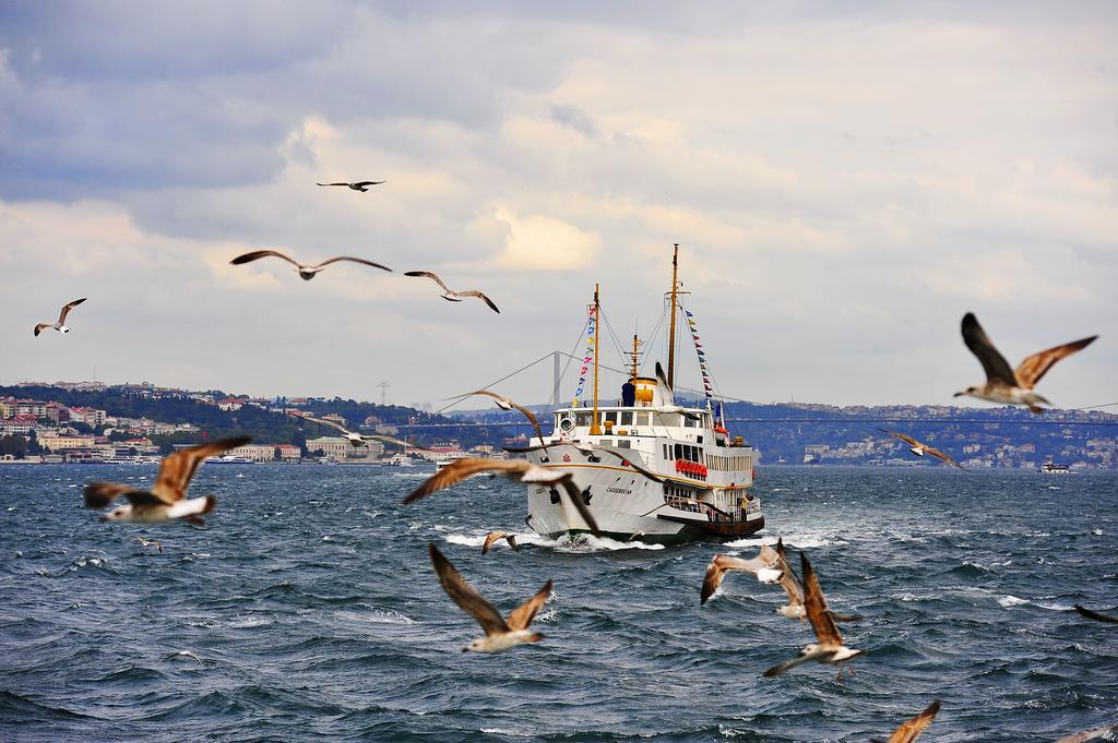 Erenler Hotel & Hostel Istanbul Exterior photo